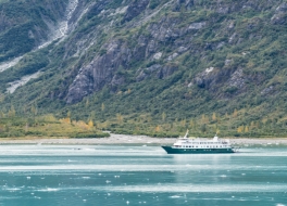 cruise-img